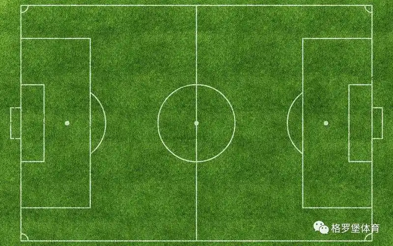 高科技生态草坪为中国足球运动助力