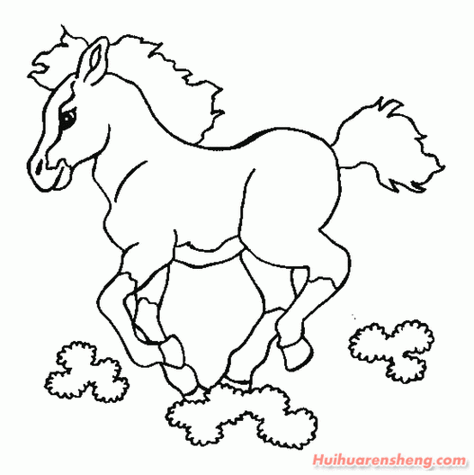 十二生肖马简笔画十二生肖的简笔画