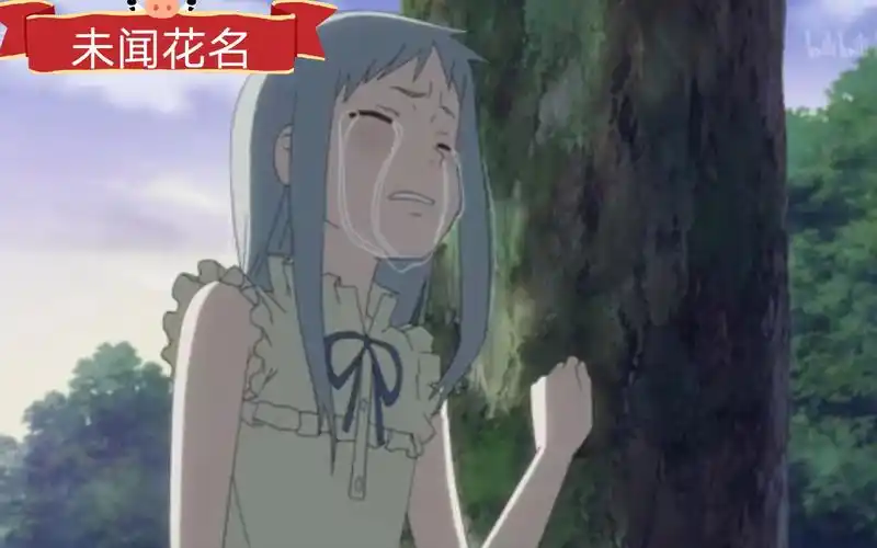 未闻花名面码即将离开人世哭着向着朋友们告别