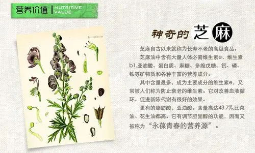 安徽正宗阜阳土特产黑芝麻油纯正小磨香油礼盒食用油送礼1600ml