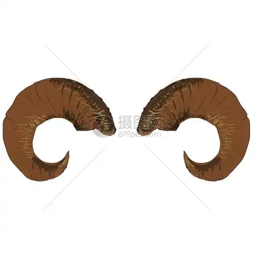 山羊角的动物拉姆白背景孤立