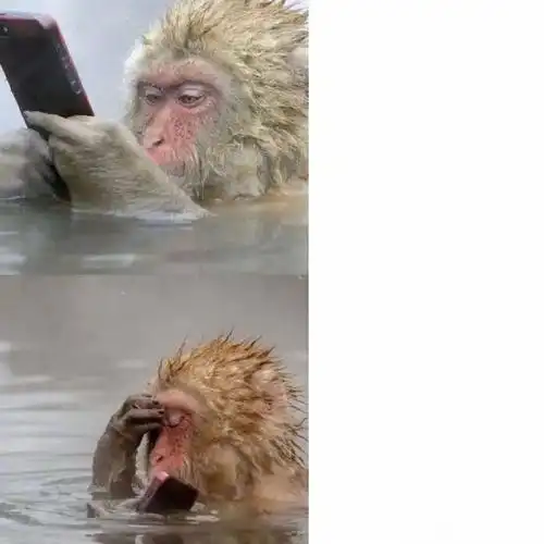 一波梗图的原图发朋友圈好用得很内容自己加