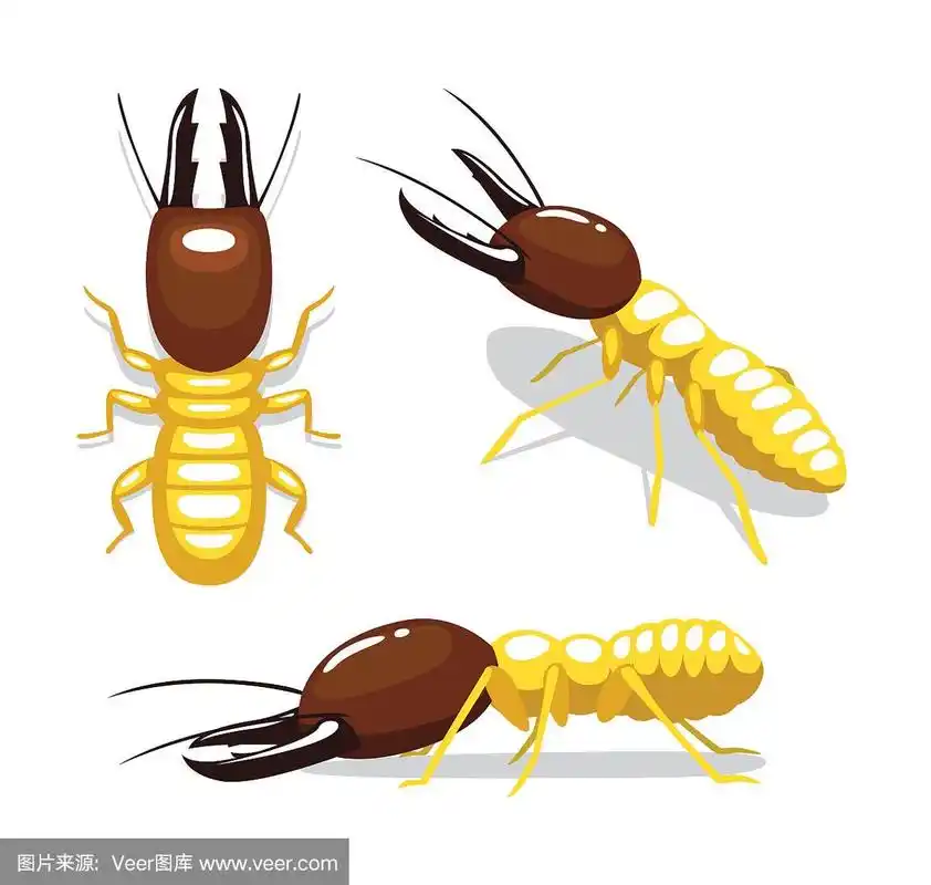 白蚁卡通姿态矢量插图