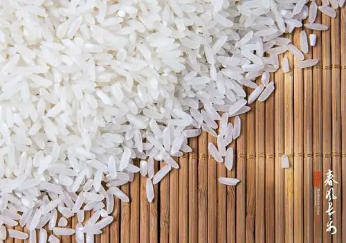 长乐为秧,每一粒米都饱含深情