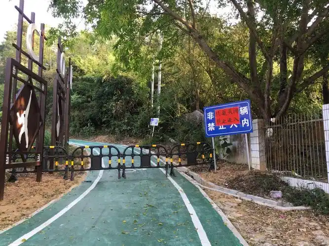 霸王岭森林公园景区临时关闭