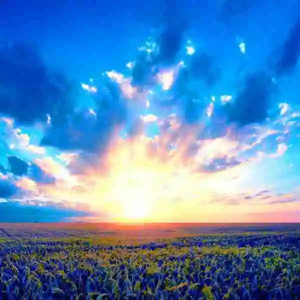 日出风景头像_微信头像图片大全