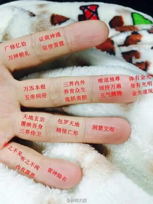 博客搜索_新浪搜索_新浪网