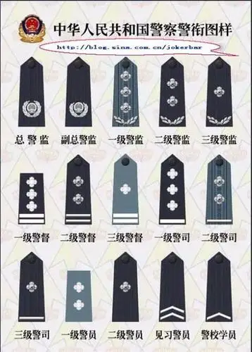 谁能提供警街的肩章图案