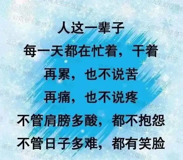 人生经典文案.#人生感悟的经典句子 每天努力一点点,收获就会 - 抖音
