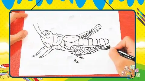 绿蚱蜢简笔画绿蚱蜢简笔画儿童画绿色的蚂蚱简笔画步骤图大眼睛蚂蚱简