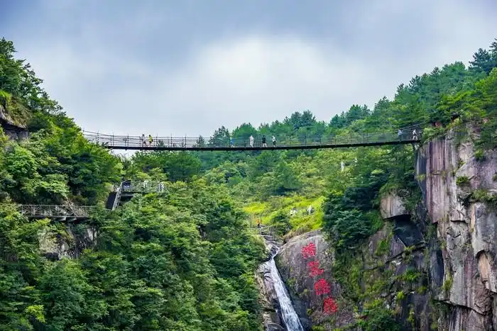 杭州市临安区大明山万松林氧吧