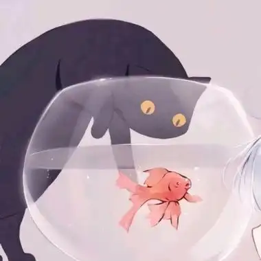 高清猫咪金鱼动漫情头图片,卡通头像图片