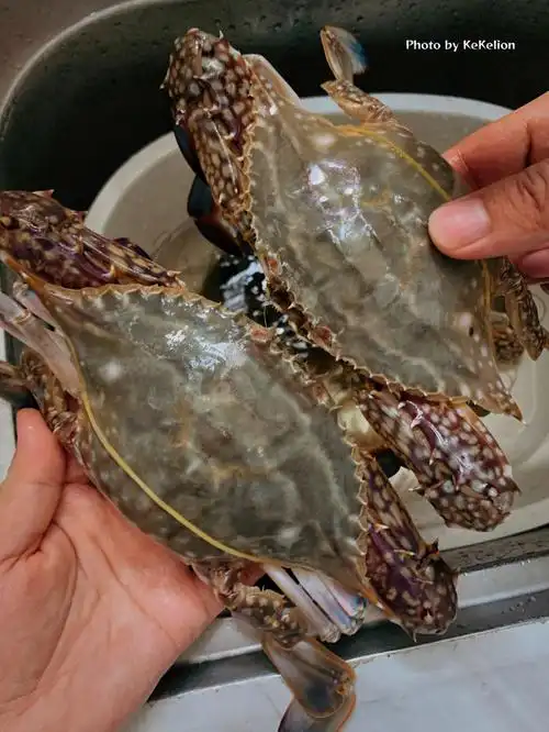 今天刚买的梭子蟹70一斤你们哪里卖多少