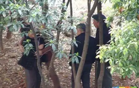 可是有这样一群人,她们到公园并不是为了休闲,而是进行着一种特殊交易