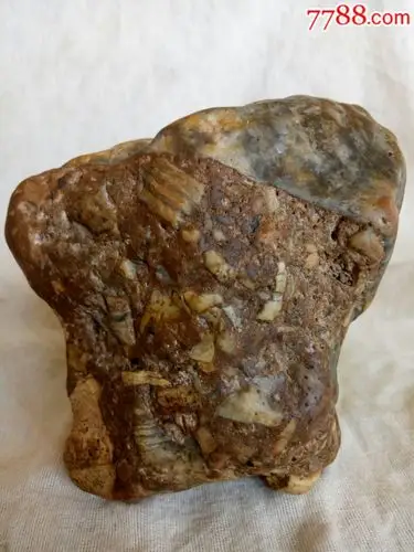 月亮角砾陨石(无磁)