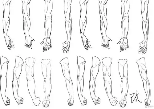 作业:如何学动漫插画之手臂的画法与训练技巧 - rh-5-153. - 轻微课