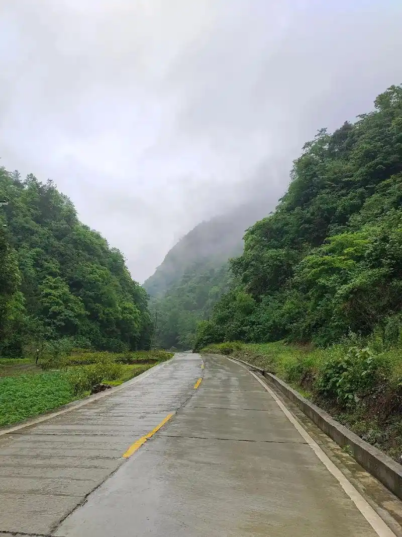 旅行推荐官 #我的观影报告 #大山里的原生态 #乡间小路自然风景