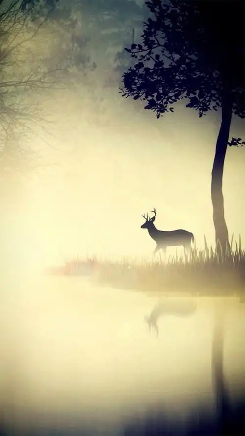 森林梦幻鹿h5背景