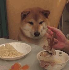 236_238gif 动态图 动图