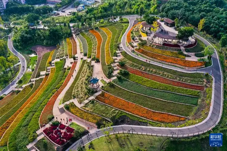 这是11月17日拍摄的重庆璧山秀湖公园景色无人机照片新华社记者王全超