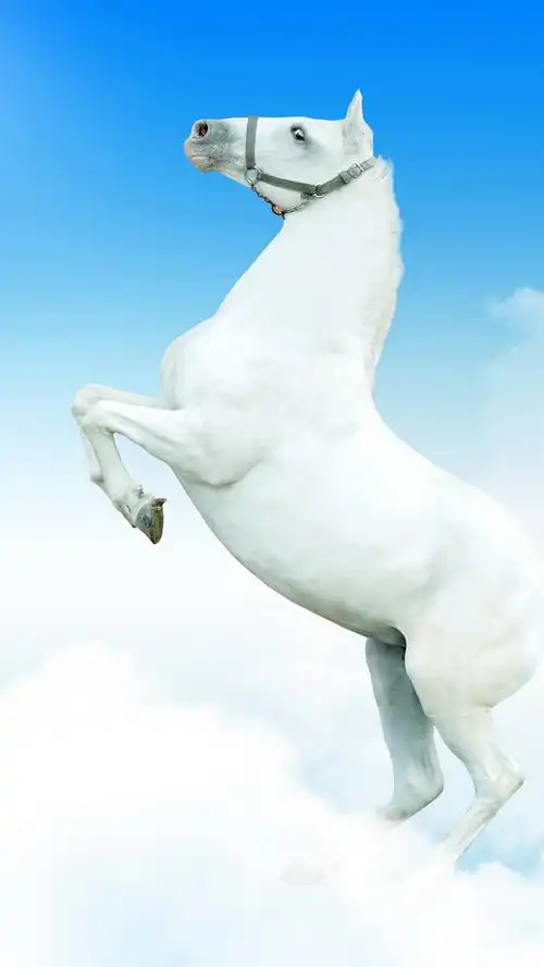 iphone 壁纸 白马,天空,云
