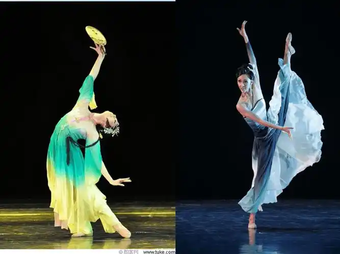 中国古典舞基本动作pptx