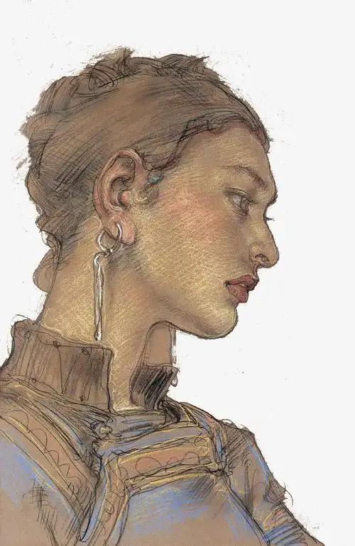关键词 : 优雅,女性,侧面,粉笔画,简约风格,装饰,效果图案,人物粉笔画
