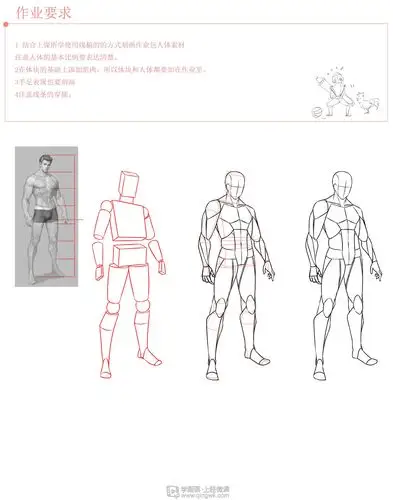 动漫插画之男性人体肌肉解析