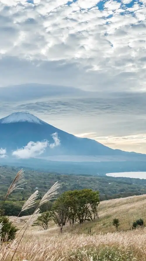 iphone 壁纸 富士山,草地,芦苇,云雾,日本风景