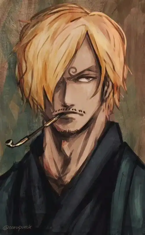 海贼王山治超帅