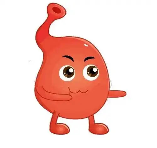 三类人中气不足脾的地位你可清楚