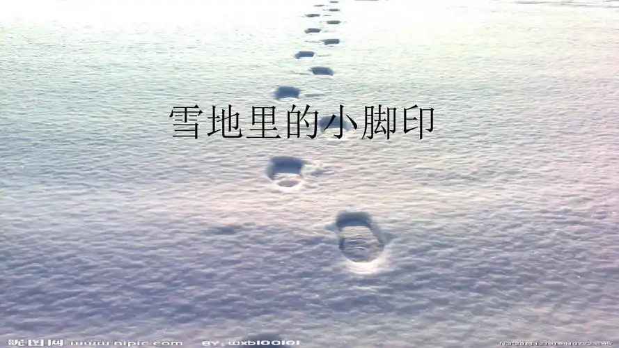 雪地里的小脚印