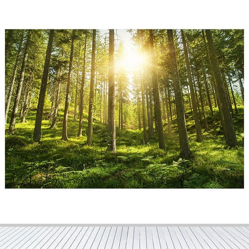 现代简约森林阳光装饰画绿色大自然风景画树木树林客厅书房墙贴画