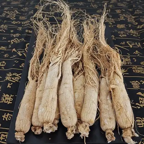 人参整支长白山白参生晒参8年白人参250克泡酒无硫人参