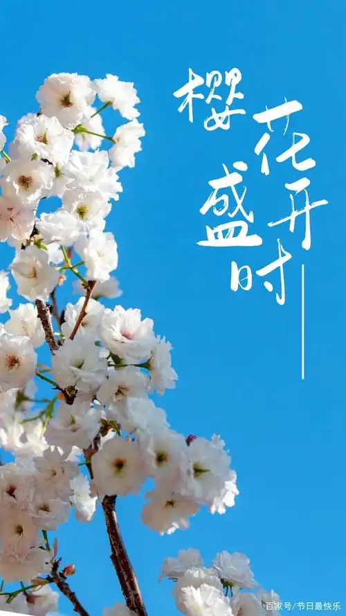 雪花飞舞,锦上添花,繁花似锦,妙笔生花,心花怒放,披红戴花,昙花一现