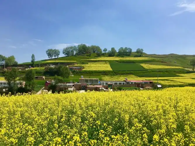 盛夏热爱生活的青海回族阿爸们的浪山模式