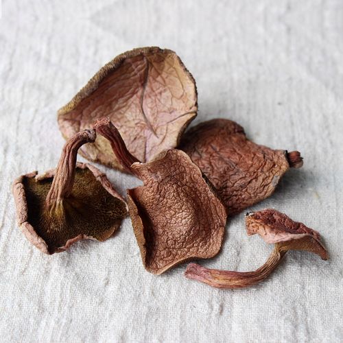 红乳野生哀牢山牛肝菌干货蘑菇火锅500克香菇类