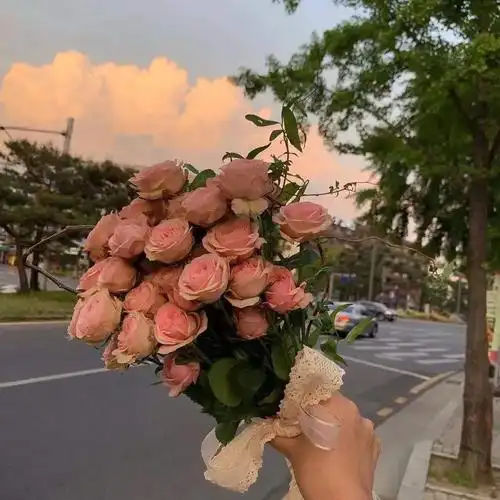 朋友圈背景图 手机壁纸 鲜花 意境图片 ins风简约风格