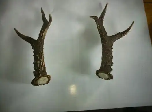 急求,鹿角值多少钱?这个值多少钱?去哪里卖?