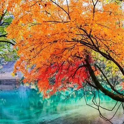 一看就舒心的图片女生头像