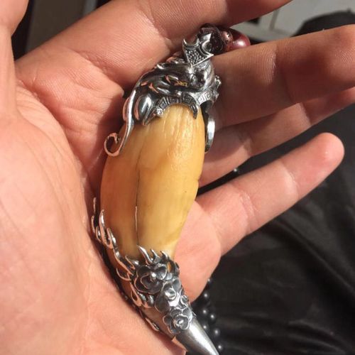 男女士925纯银套项链包熊牙套银套吊坠熊牙防裂保护项坠