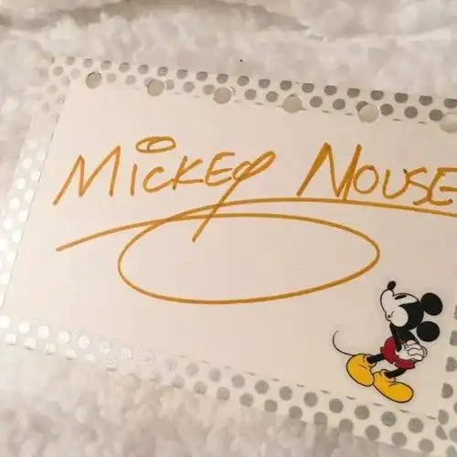 有一个徽章和一个签名,徽章呢是上海迪士尼乐园一周年小飞侠的限定