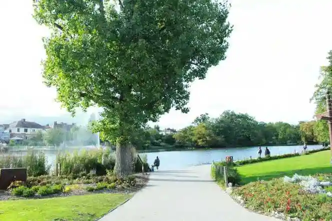 改时间了2020有可能是英国最后一次改夏时制了