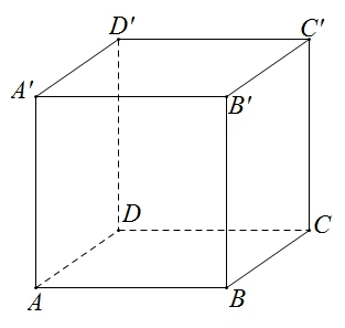 用斜二测画法画出棱长为