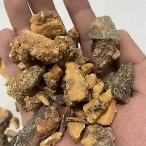 中药材安息香安息香药材实物实拍图片