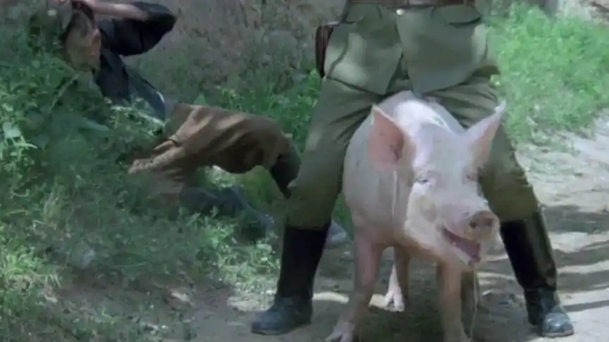 电影:这批鬼子跟别的鬼子不一样,见过骑猪的鬼子吗?