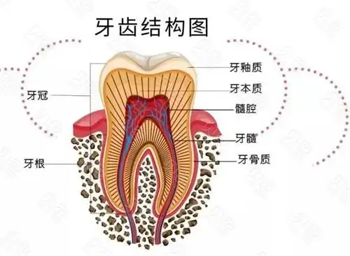 汕头有正规口腔医院吗?汕头市口腔医院哪个比较好 - 贝色口腔