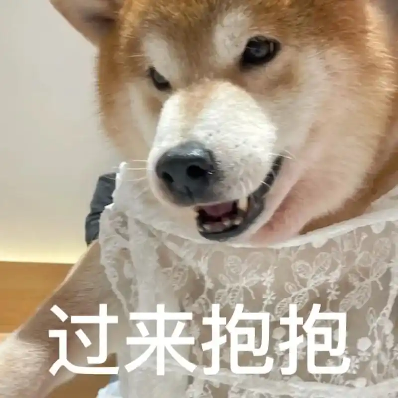 抱一下嘛#萌宠 #宠物 #表情包 #柴犬日常 #宠物vlog - 抖音