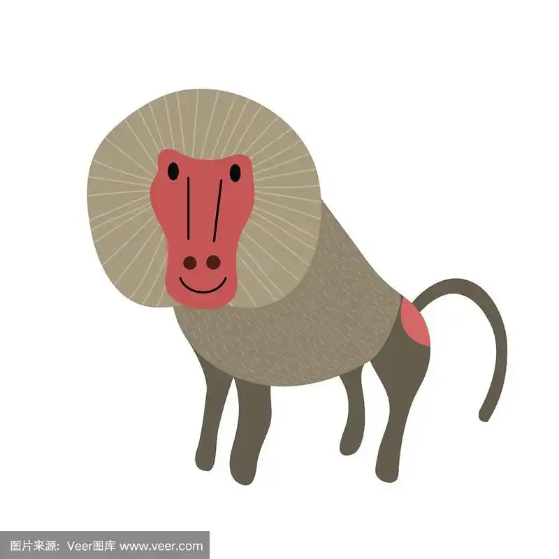 狒狒动物卡通人物矢量插图.
