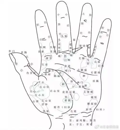 中医养生##道医养生